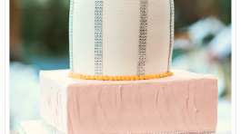 Showcase+Thumbnail+Images-4